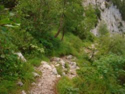Regina-F-Rau_2013-08-15_Frohkostgipfel  (165).JPG